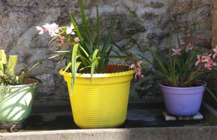 Casa Serra do Lagar - Foto 52