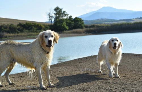 Le Ginestre Arte Vacanze - Foto 25