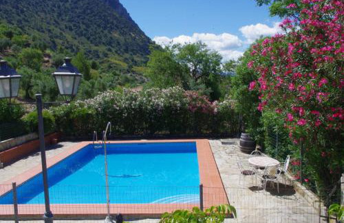 Finca Barreras - Photo 30