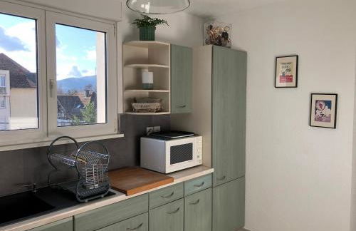 Au pied des Vosges - Foto 16