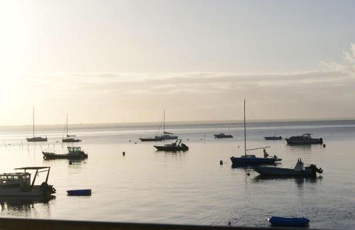 Entre dune et plage Les Jacquets Cap Ferret - Foto 15