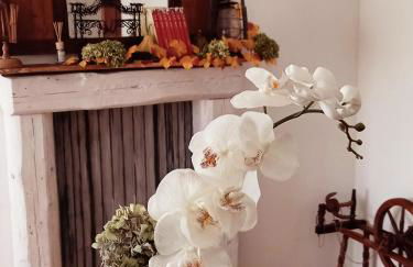 Casa Ortensia - Foto 19