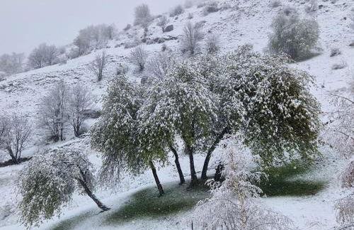 Les Chryolles - Foto 18