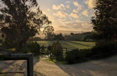 Herdade da Hera - Foto 1