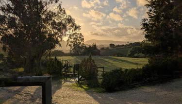 Herdade da Hera - Photo 1