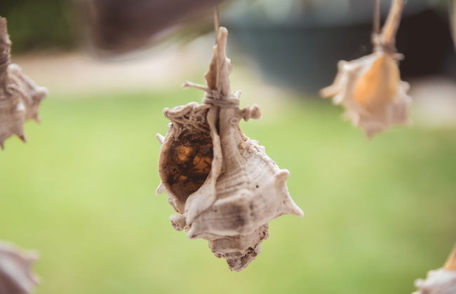 Kalogirou Stone House - Foto 73