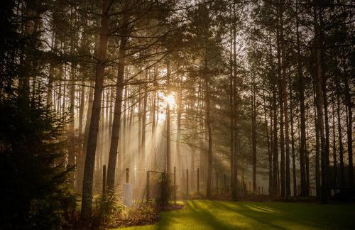 Leśna Strzecha - Foto 24