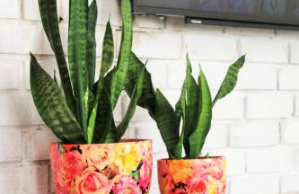 PIZUNY Dom pod dębem z balią na wyłączność - Foto 65