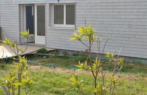 les salines de la turballe - Foto 15