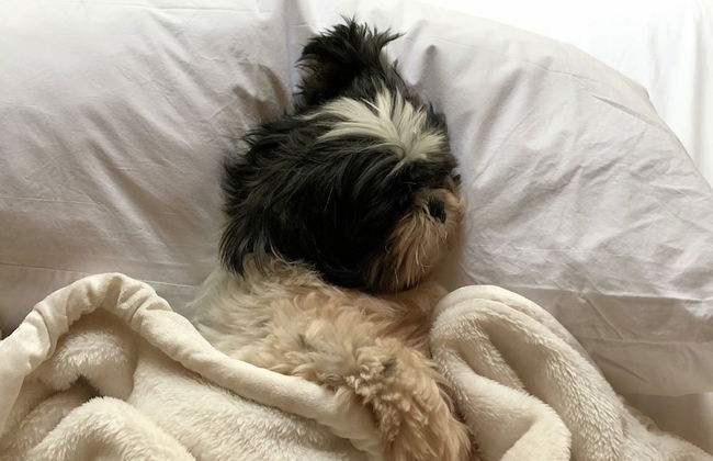 Gather Greene - Foto 10