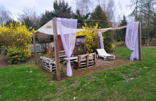 GA Grudzianka - Foto 43