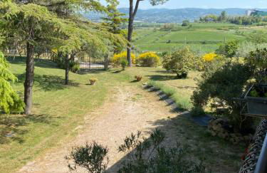 Casale in collina vista Assisi,Brufa di Torgiano - Foto 21