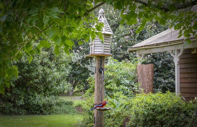 ARCADIA - The Barn Cottage & Rosehill Cottage - Foto 42