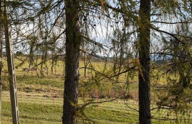 Korona Bieszczad Premium Apartments - Foto 152