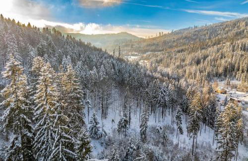 LEŚNE ZACISZE Wisła - Jacuzzi, Bacówka, Niesamowite Widoki - Foto 35
