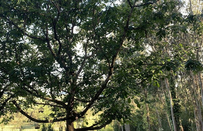 Apartamentos Las Garzas de Oyambre - Photo 26