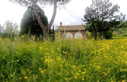 Opera d'Oro - Foto 26