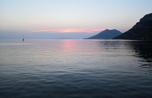 Iva Lavanda - Photo 21