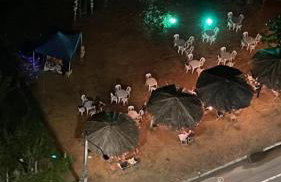 Barra homestay lux - Foto 9