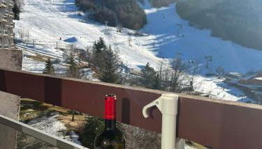 Au pied des pistes Côte 2000 - Le Balcon de Villard de Lans - Foto 5