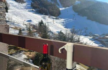 Au pied des pistes Côte 2000 - Le Balcon de Villard de Lans - Foto 5