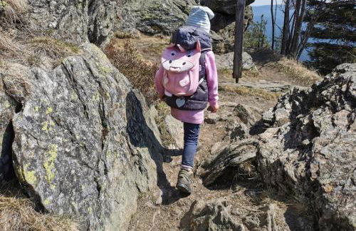 Altes Forsthaus Bodenmais - Foto 38