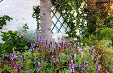 Villa Manuela sul mare - Foto 17