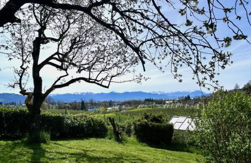 Ferienwohnung Weinberg Idyll 2 - Panoramablick zum Bodensee - Foto 17