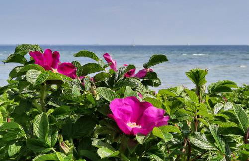 Wormshöft 16 - Foto 30