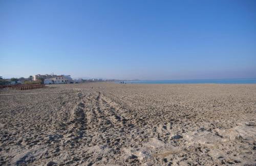 Apartamento Mar de Luna LOCDENIA - Foto 19