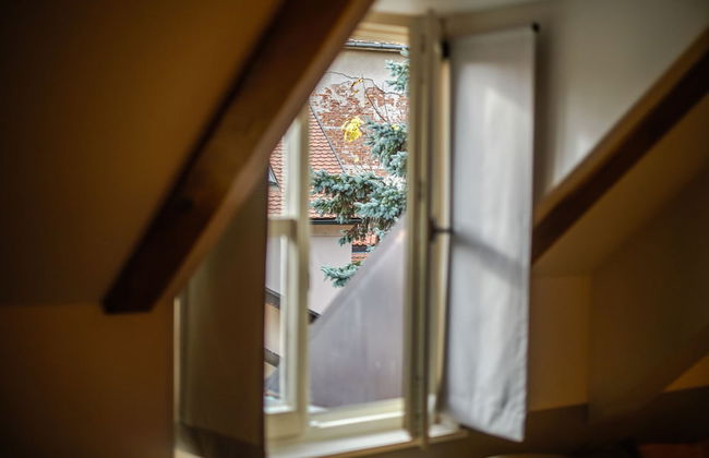 Peacock Boutique Apartments - Foto 60