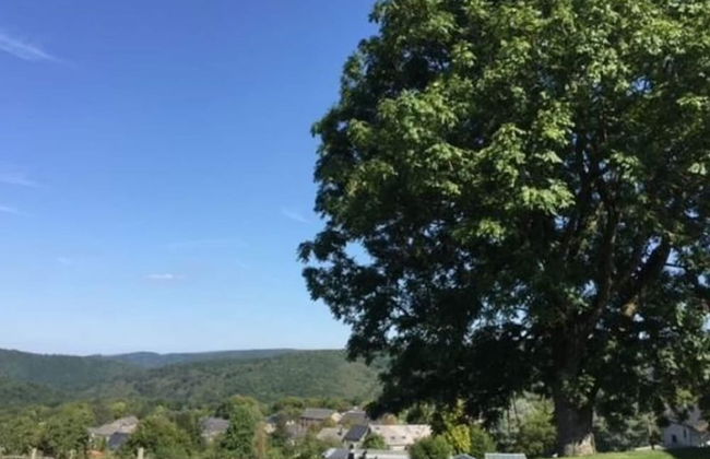 Spacious Villa Near Lesse - Photo 34