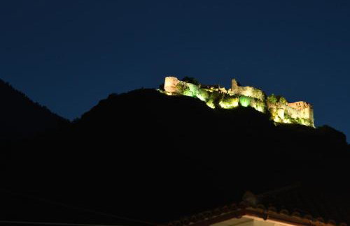 Art Flowers and Culture - Foto 11