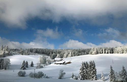 Lippenhof - Unter der Linde - Foto 31