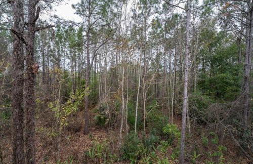 Natural Reserve Home at Emerald Islands - Foto 16