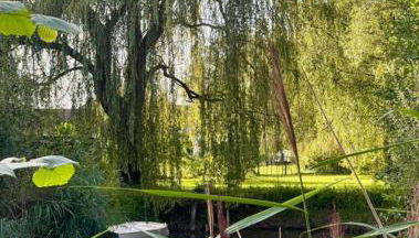 Naturaë Amentes Studio Nid douillet - Foto 5