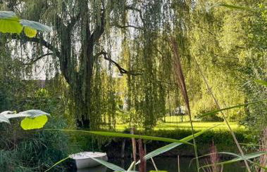 Naturaë Amentes Studio Nid douillet - Foto 5