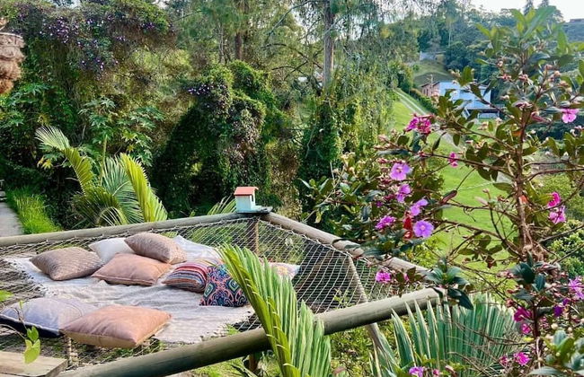 ecohotel zona 7 - Photo 47