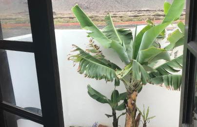 Casa Nehuna - Foto 12