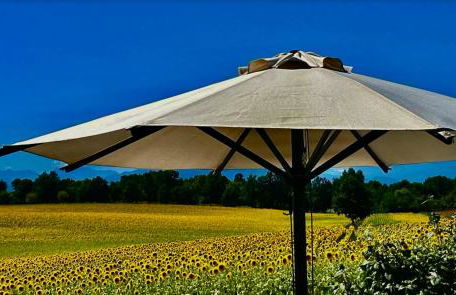 Il Poggio Agrisport - Foto 20