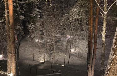 Villa Kamionka - Photo 61