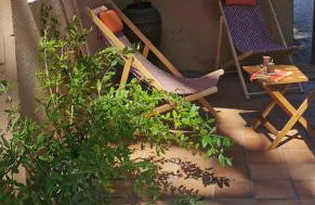 Lou Pitchoun - Foto 22