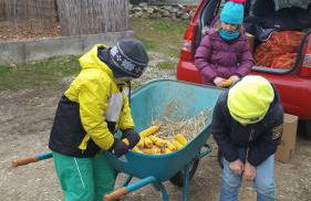 Reiterhof vom Litzlbach - Foto 60