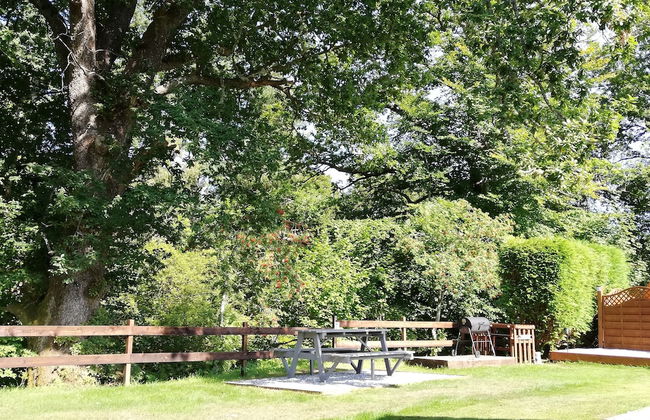 Highland & Transylvania Glamping Pod - Foto 24