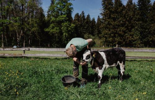 4 Sterne Ferienwohnung Hochries - Foto 35