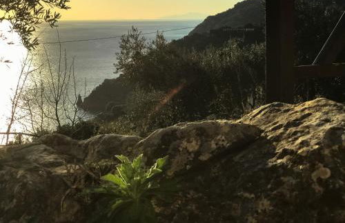 House of the Rising Sun - Foto 12