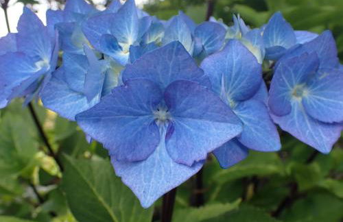 Corrie Apartment, Kinlochlaich House - Foto 23