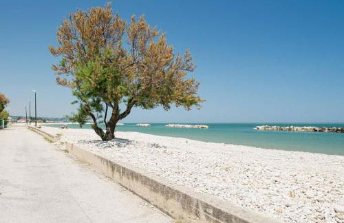 Ostriche 1 in Torino di Sangro Marina - Foto 85