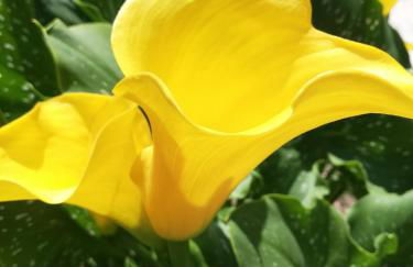 Appartamenti turistici Aprile Antonio Luigi - Foto 42