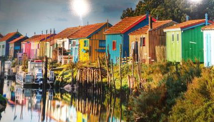 Pomme de Pin et Mimosa - Foto 2